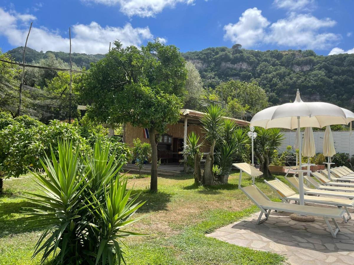 Casa Sorrento, Immerso Nel Verde A Pochi Passi Dal Centro Exteriér fotografie