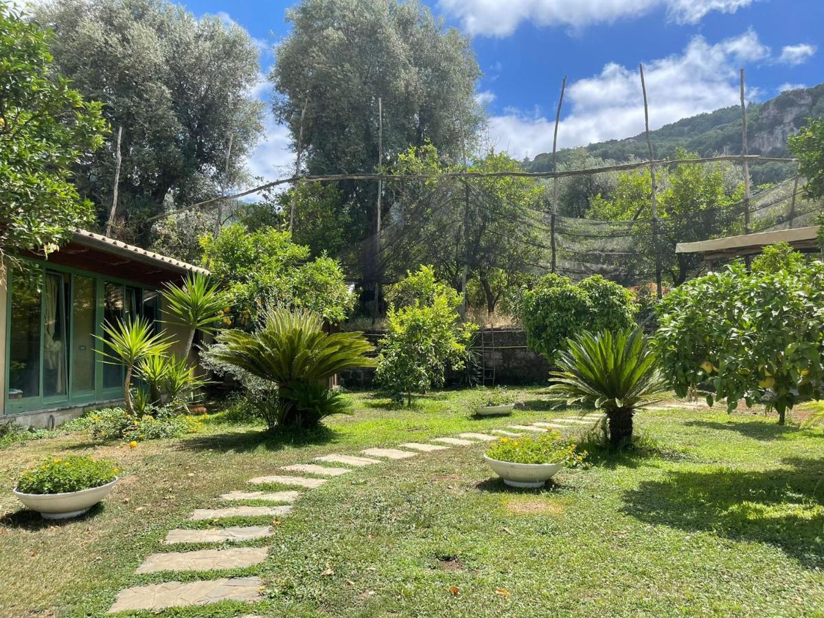 Casa Sorrento, Immerso Nel Verde A Pochi Passi Dal Centro Exteriér fotografie