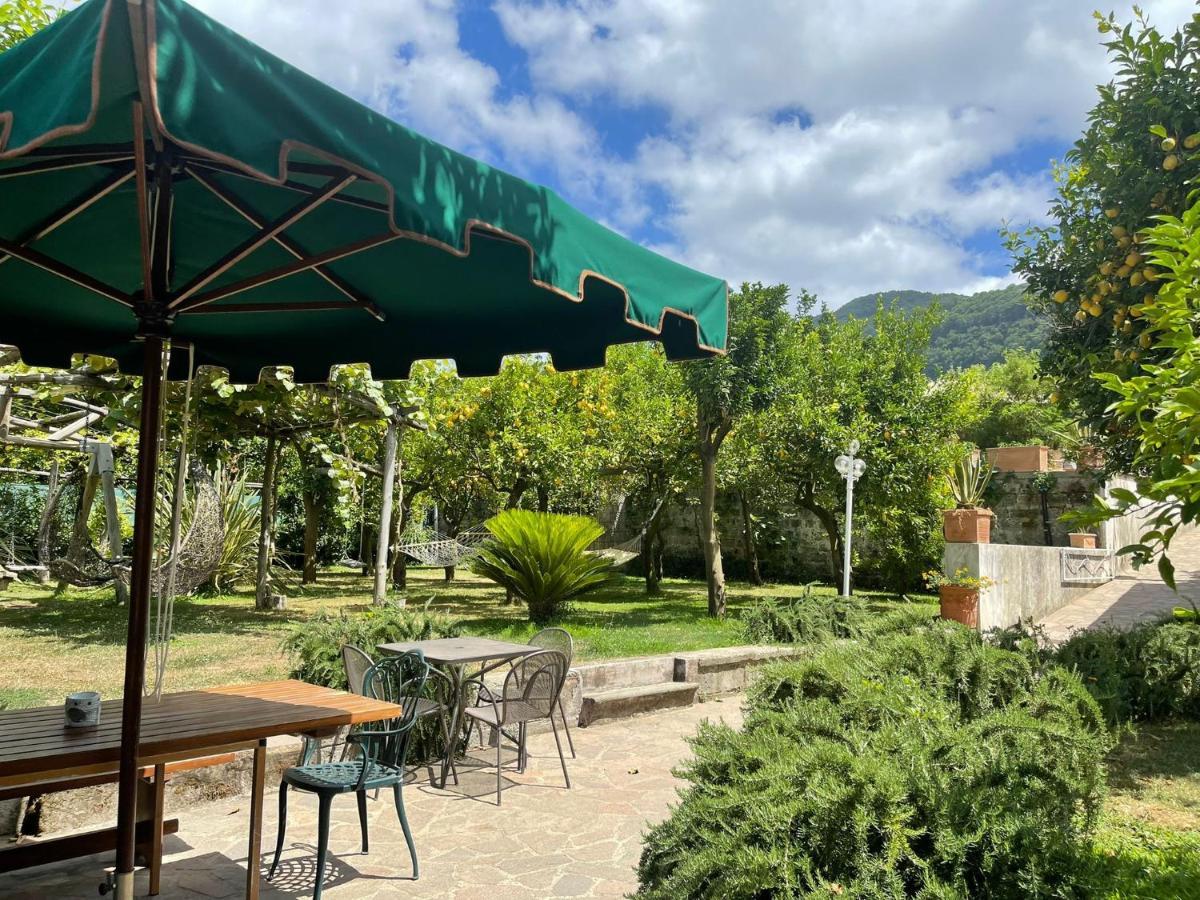 Casa Sorrento, Immerso Nel Verde A Pochi Passi Dal Centro Exteriér fotografie